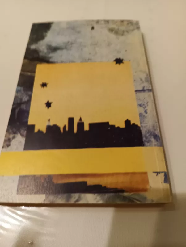 Šešėliai rojuje - Erich Maria Remarque, knyga 3