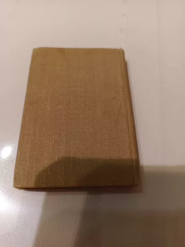 Kur baltas miestas - Salomėja Nėris, knyga 3