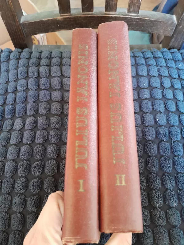 Raštai (2 tomai) - Julius Janonis, knyga 3