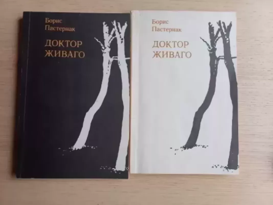 Doktor Živago - Boris Pastiernak, knyga 2