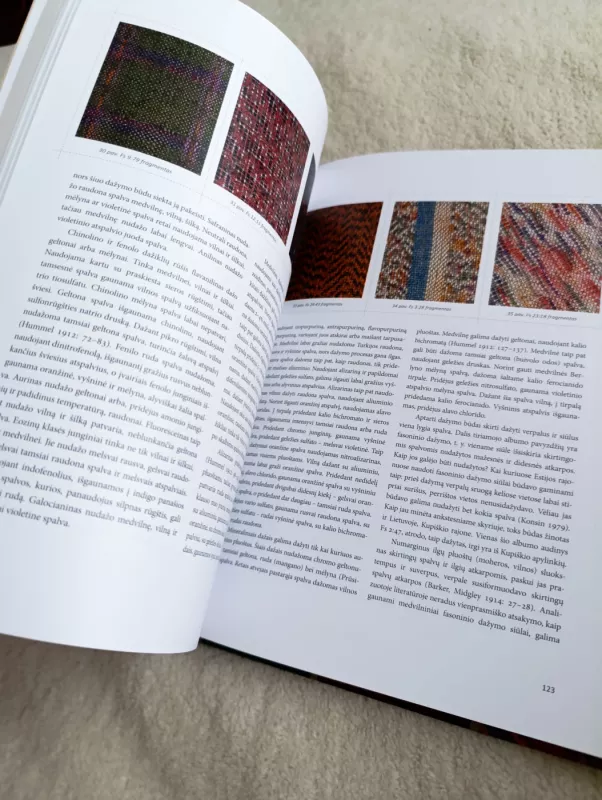 Audimų raktas - Inga Nėnienė, knyga 2