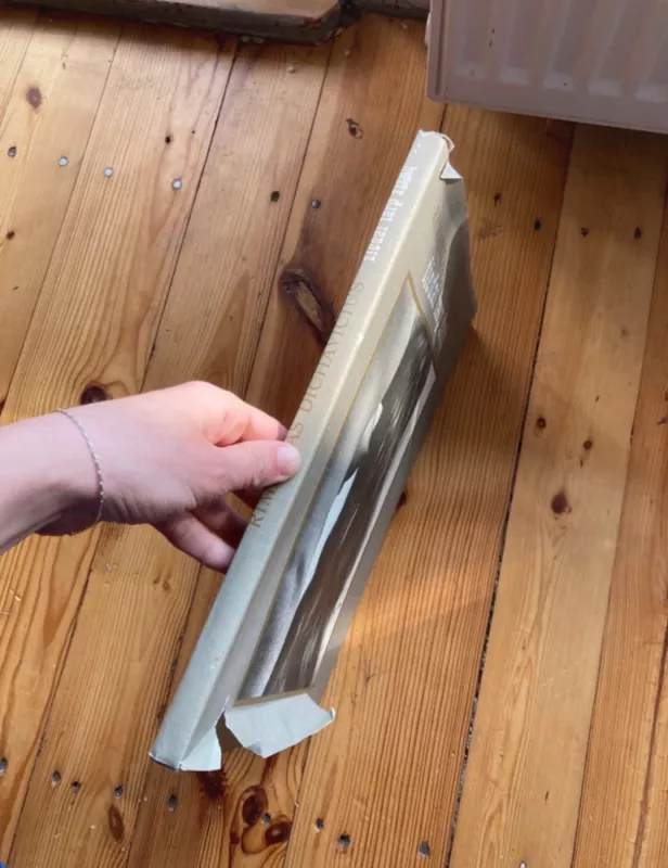 Žiedai tarp žiedų - Rimantas Dichavičius, knyga 4