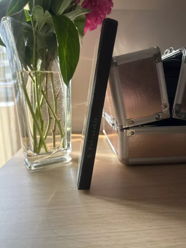 Mamutų medžiotojai. Gyvenvietė prie ežero - S. Pokrovskis, knyga 4