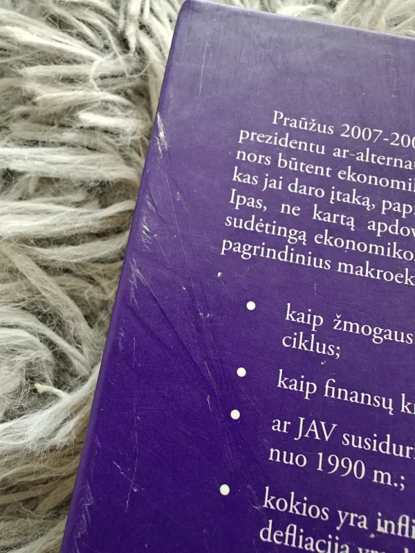Praktinė ekonomika. Makroekonomika realiame pasaulyje - Gregas Ipas, knyga 4