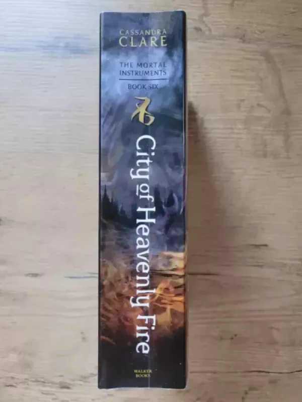 City of Heavenly Fire - clare cassandra, knyga 3
