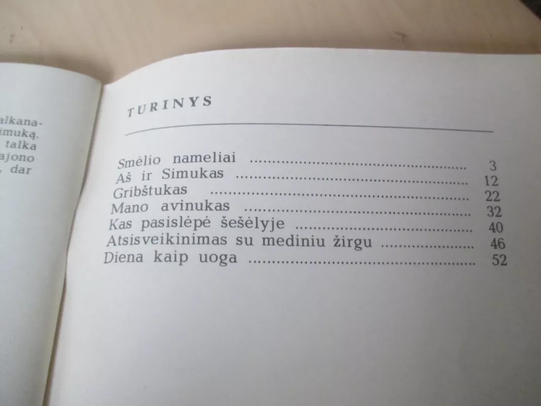 Diena kaip uoga - Autorių Kolektyvas, knyga 4