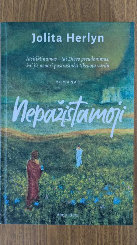 Nepažįstamoji - Herlyn Jolita, knyga 2