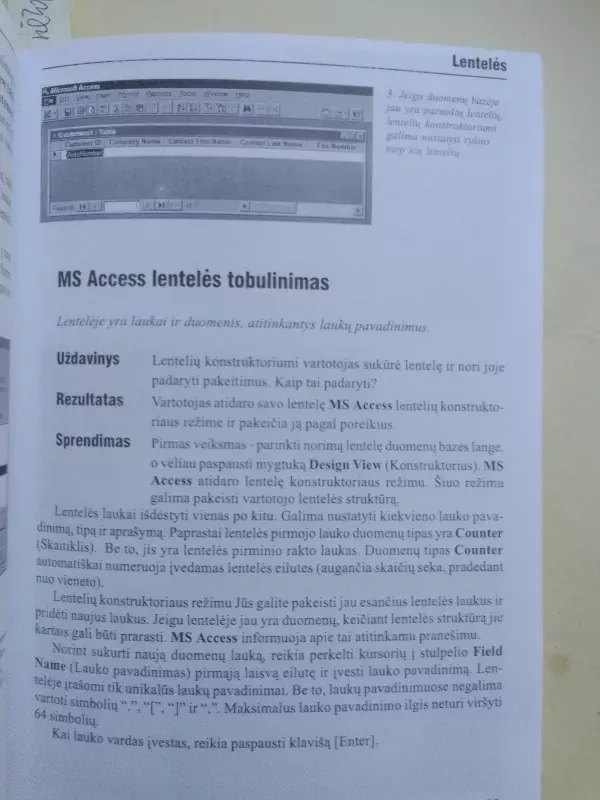 Microsoft Access pradžiamokslis - Saulius Minkevičius, knyga 6