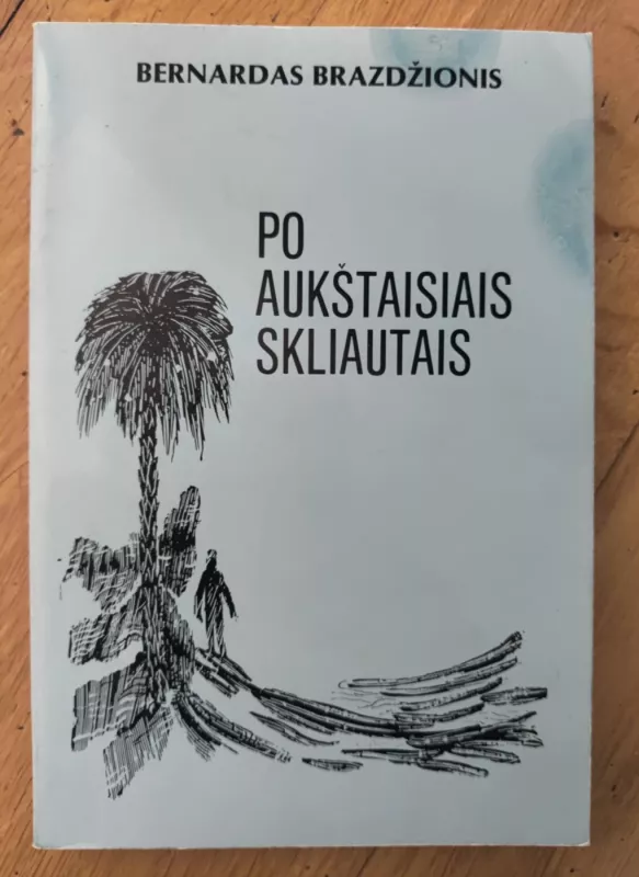Po aukštaisiais skliautais - Bernardas Brazdžionis, knyga 2