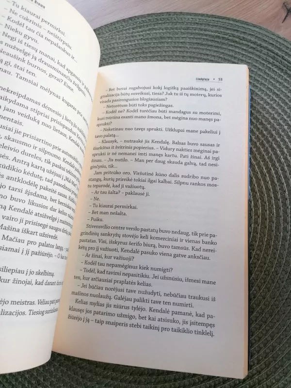 LIUDYTOJA - Sandra Brown, knyga 6