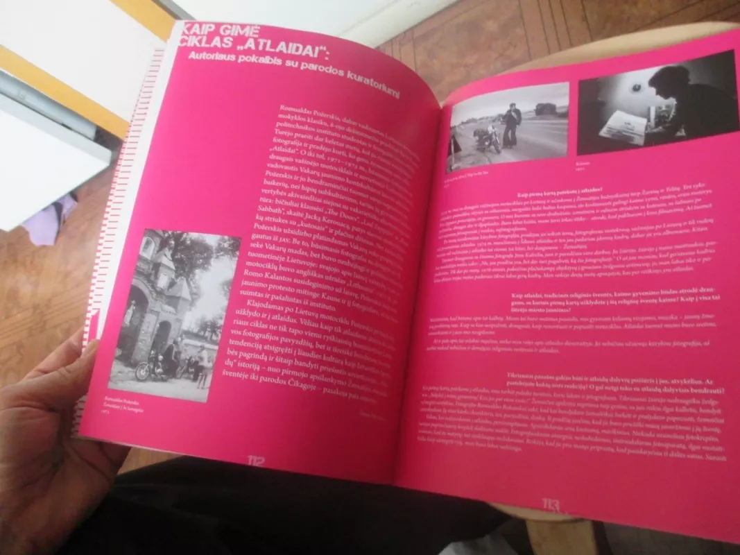 Permainų šventė: parodos leidinys - Autorių Kolektyvas, knyga 6