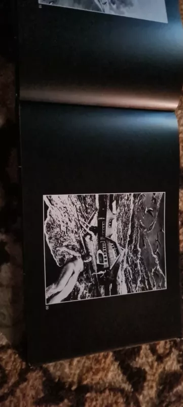 Terra incognita - Vitalijus Butyrinas, knyga 5