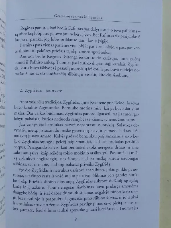 Germanų ir keltų sakmės ir legendos - Agnė Iešmantaitė, knyga 6