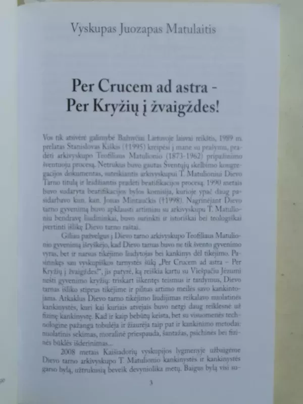 Arkivyskupas Teofilius Matulionis - Stanislovas Kiškis, knyga 4