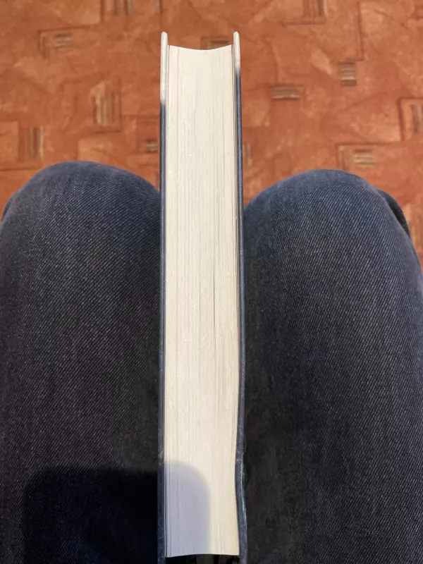 Austerlicas - W.G. Sebald, knyga 6