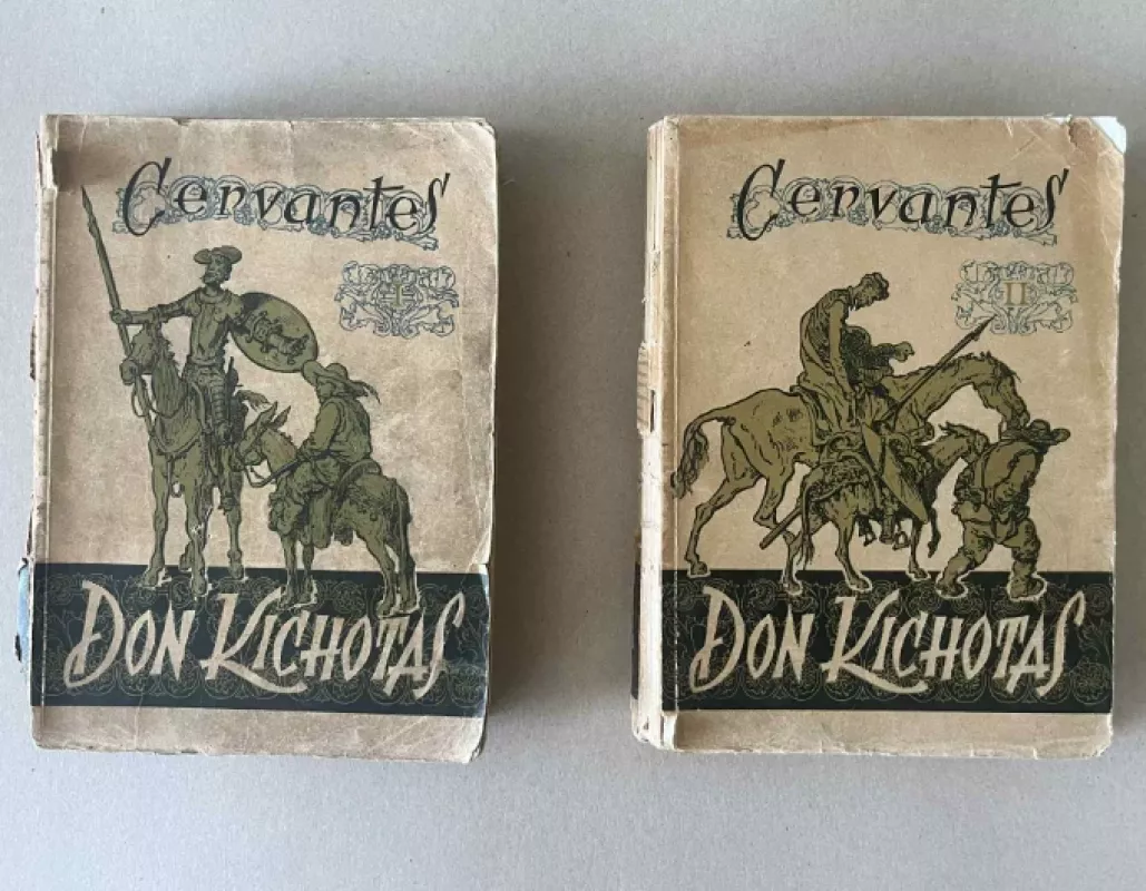 Don Kichotas 1 ir 2 dalys - Miguel de Cervantes Saavedra, knyga 2