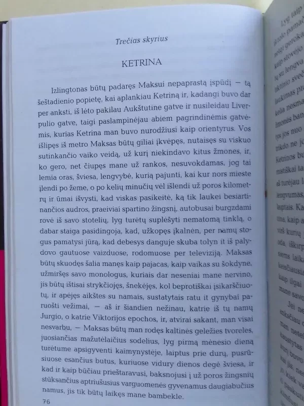 Metai Anglijoje - Norbert Gstrein, knyga 6