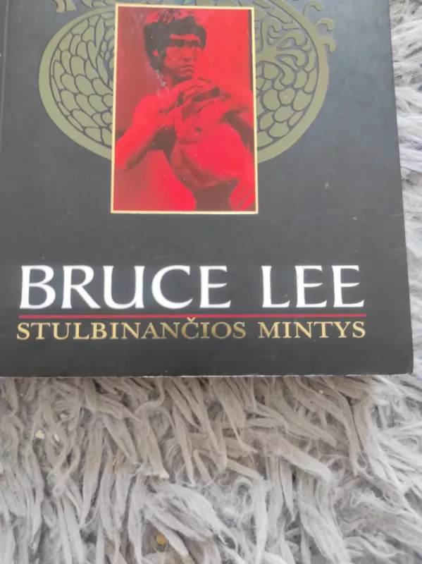 Stulbinančios mintys - Lee Bruce, knyga 3