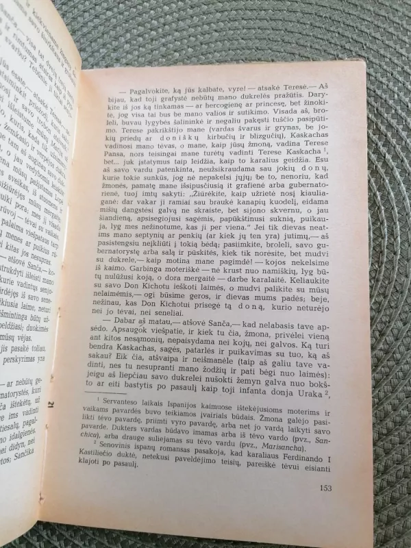 Don Kichotas - Migelis Servantesas, knyga 5