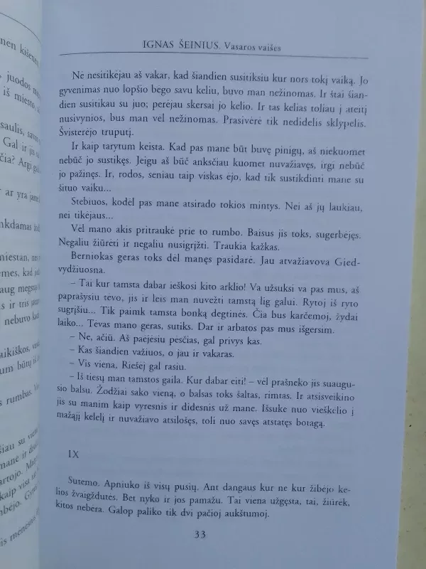 Vasaros vaišės - Ignas Šeinius, knyga 4