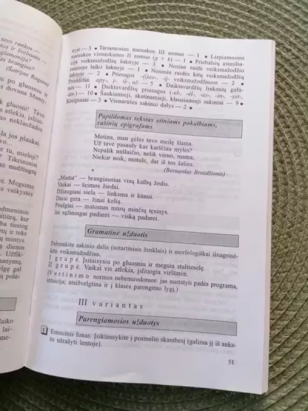 Kontroliniai diktantai V-XII klasei - Antanas Zabotka, knyga 5