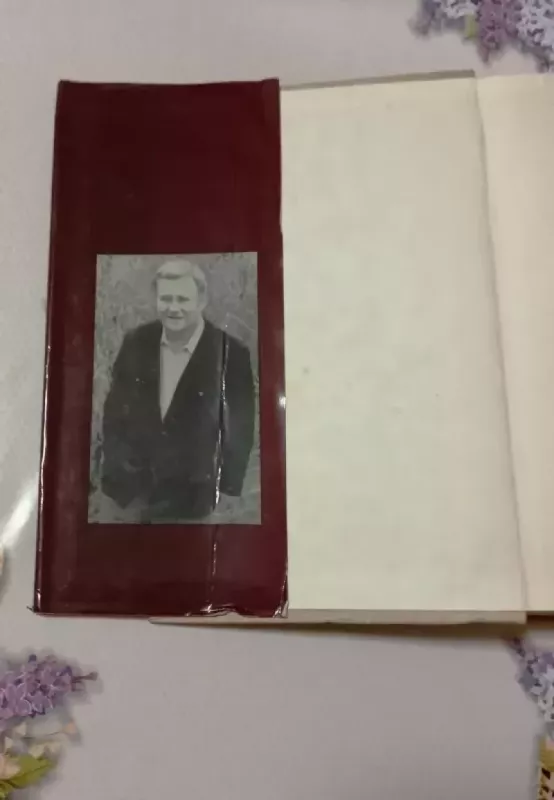 Grupė draugų - Vytautas Petkevičius, knyga 3