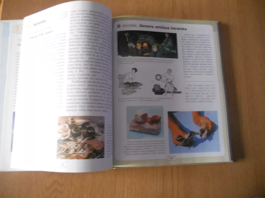 Senųjų kultūrų šviesa DAILĖ 7 - K.K. Šiaulytis, knyga 5