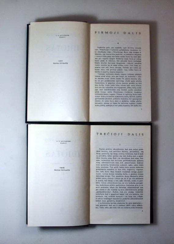 Idiotas (2 knygos) - Fiodoras Dostojevskis, knyga 6