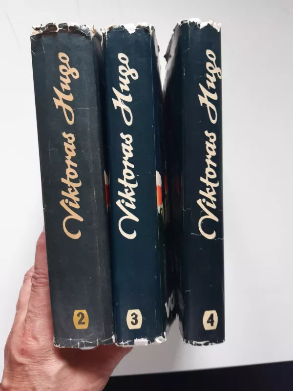 Vargdieniai - Viktoras Hugo, knyga 3