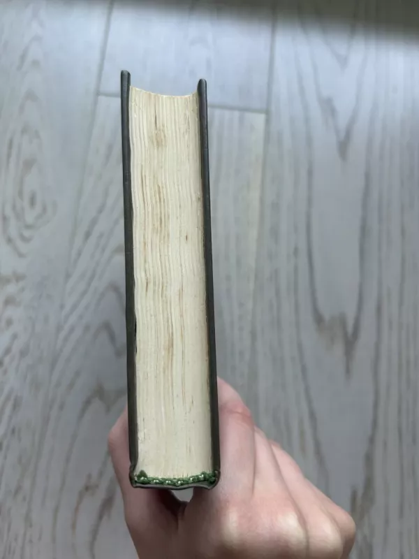 Mielas draugas. Pjeras ir Žanas. Novelės - Gi De Mopasanas, knyga 4