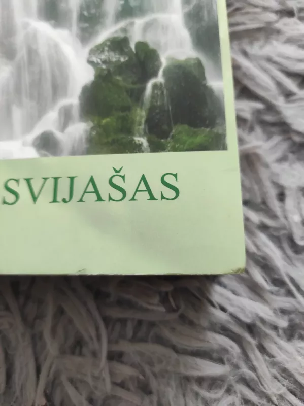 Šypsokis, kol nevėlu - Aleksandras Svijašas, knyga 4