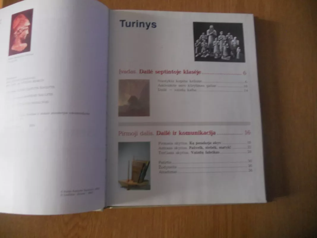 Senųjų kultūrų šviesa DAILĖ 7 - K.K. Šiaulytis, knyga 3