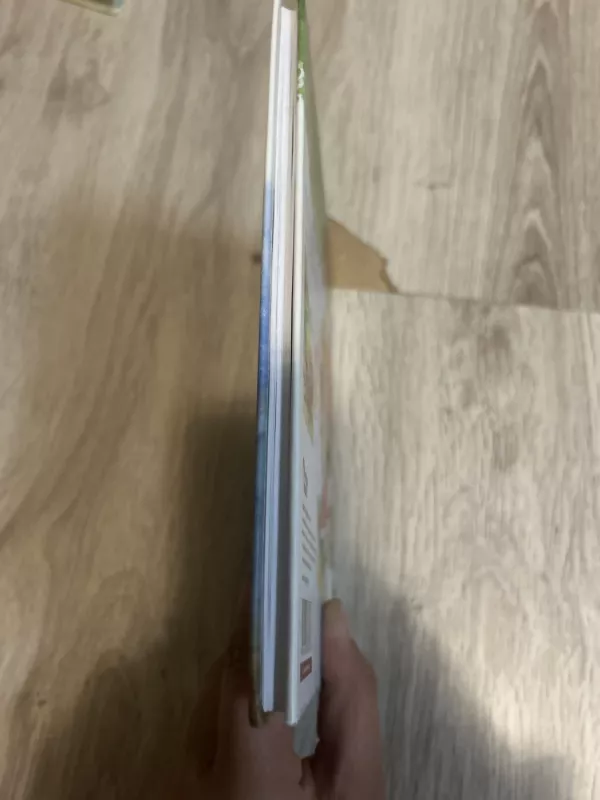 Danuko Dunduliuko nuotykiai (pradžia). Kai aš mažas buvau - Vytautas Misevičius, knyga 3