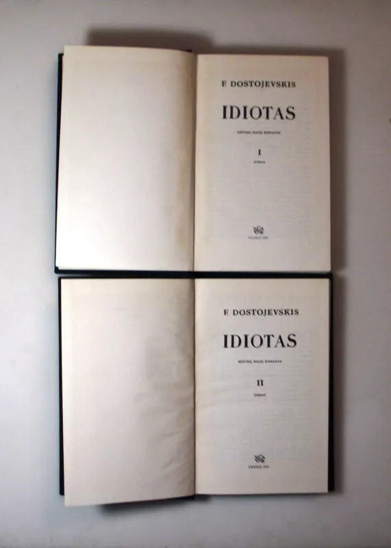Idiotas (2 knygos) - Fiodoras Dostojevskis, knyga 5
