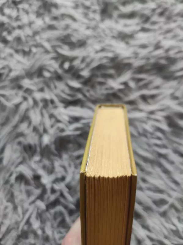 Sapnų kalba - Nijolė Blaževičiūtė, knyga 3