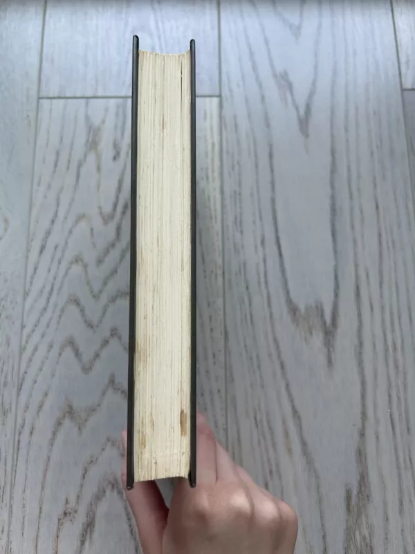 Mielas draugas. Pjeras ir Žanas. Novelės - Gi De Mopasanas, knyga 6