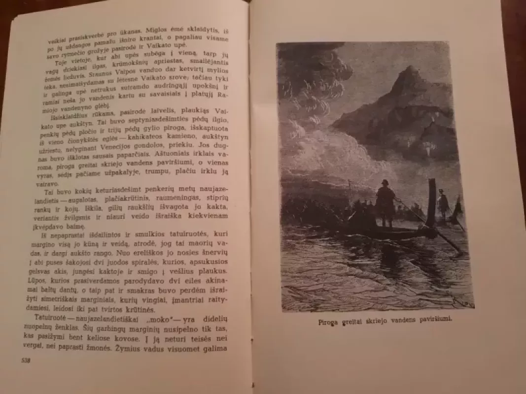 Kapitono Granto vaikai - Žiulis Vernas, knyga 4