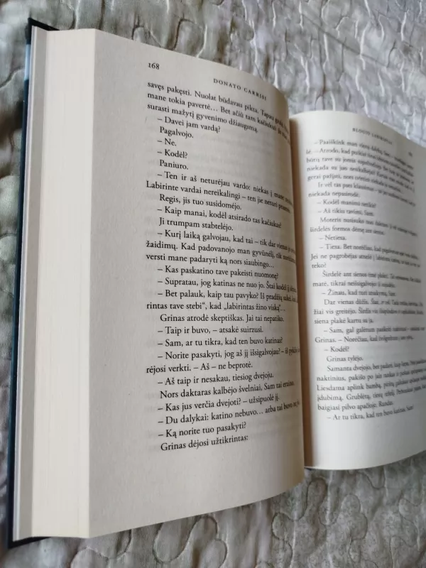 Blogio labirintas - Donato Carrisi, knyga 4