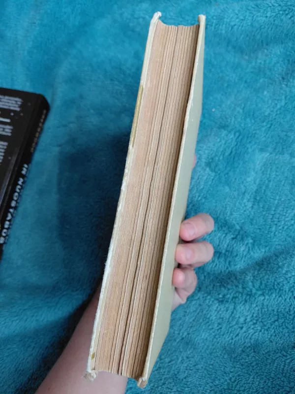 Žorž Sand gyvenimas - Andre Morua, knyga 3