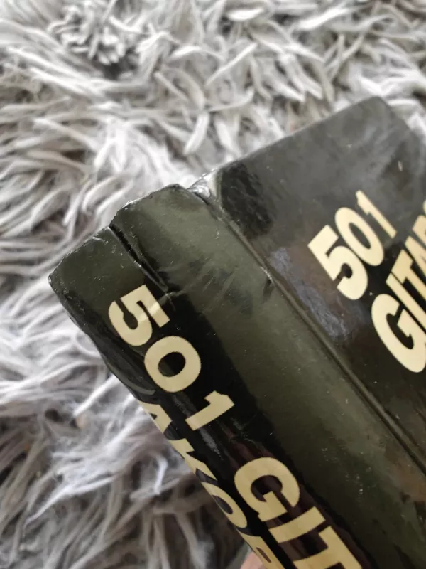 501 gitaros akordas - Phil Capone, knyga 5