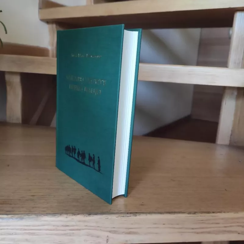 Vakarų fronte nieko naujo - Erich Maria Remarque, knyga 5