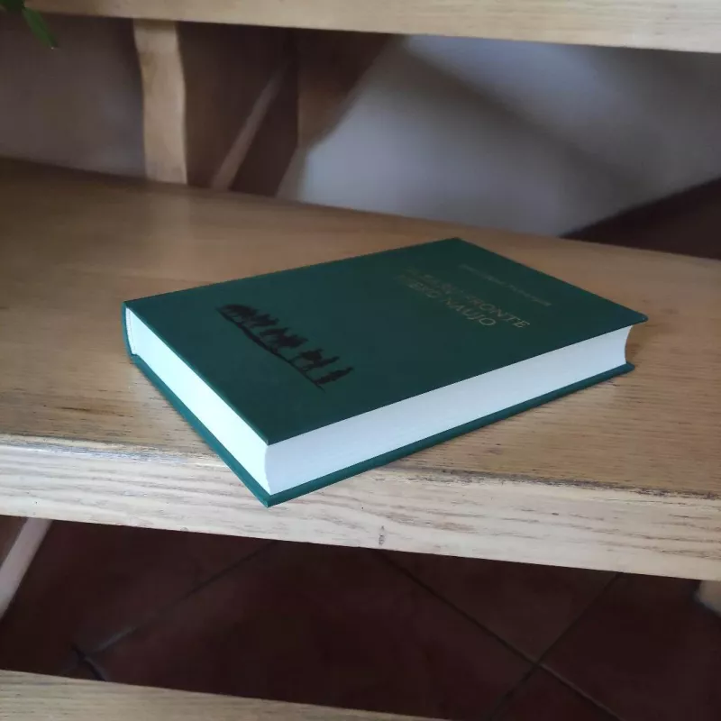 Vakarų fronte nieko naujo - Erich Maria Remarque, knyga 3