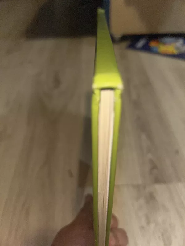 Karžygio Petro Puplauskio nuotykiai ir pegalės - Raimondas Jurgaitis, knyga 2