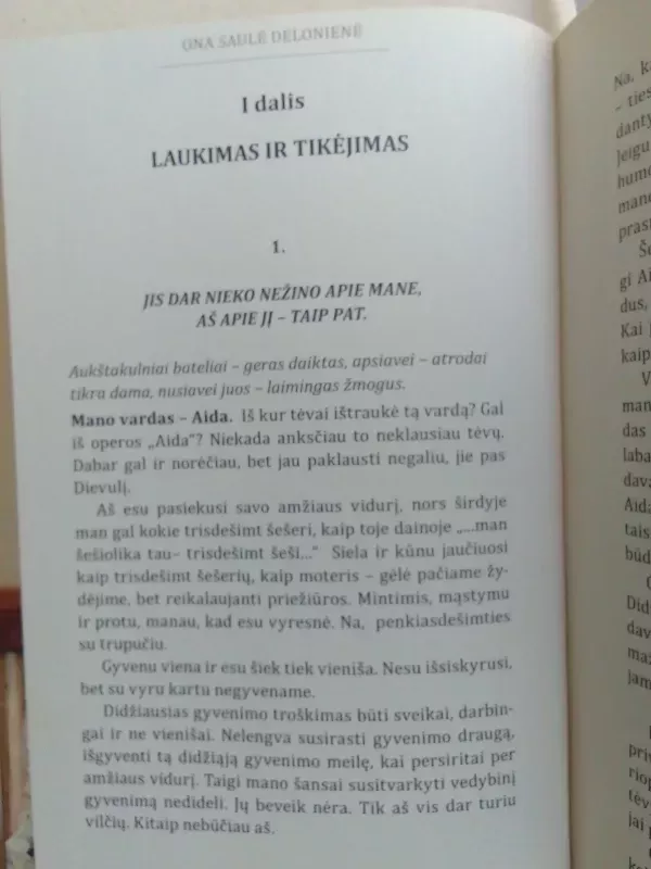 Raudoni bateliai - Ona Saulė Delonienė, knyga 4