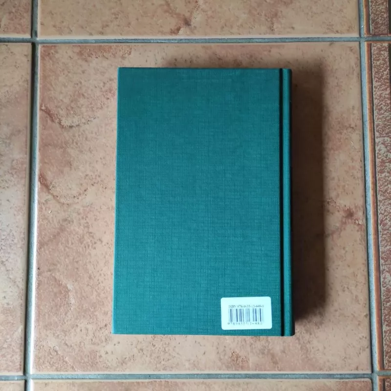 Vakarų fronte nieko naujo - Erich Maria Remarque, knyga 6