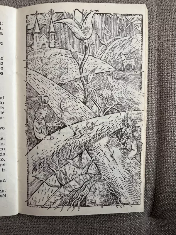 Lietuviškos pasakos. Iš pasakų skrynios (2 dalis) - J. Balys, knyga 4