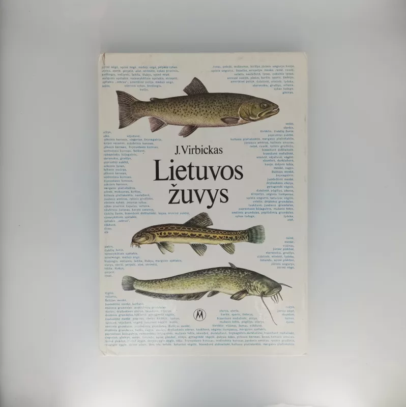 Vaizdai iš Lietuvos: Roberto Minzloffo etnografinių scenų albumas - Autorių Kolektyvas, knyga 6