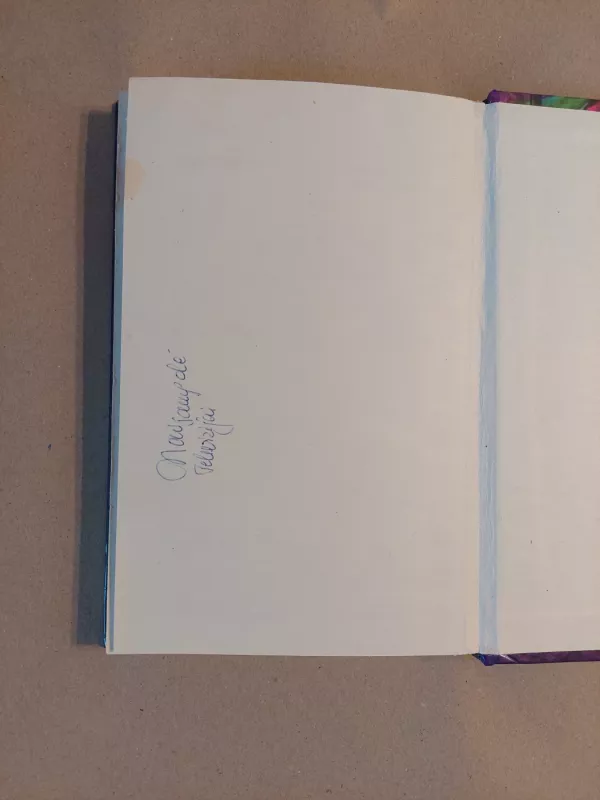 Detektyvo ABC. Apsakymai - Agata Christie. Georges Simenon, knyga 3