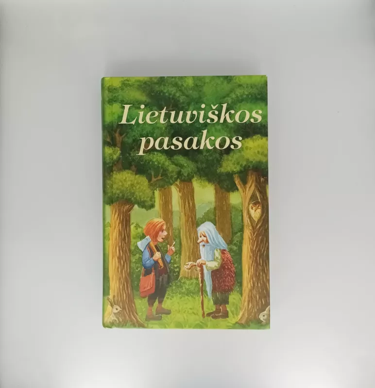 Vaizdai iš Lietuvos: Roberto Minzloffo etnografinių scenų albumas - Autorių Kolektyvas, knyga 5