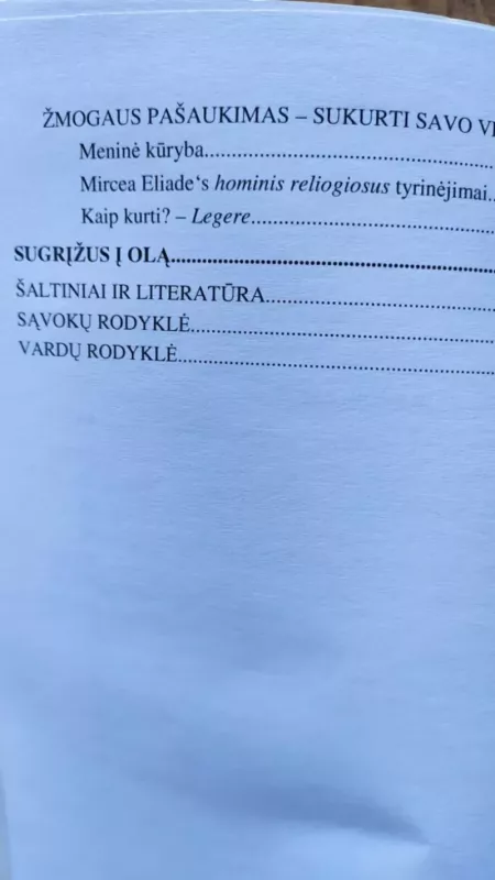 Filosofija ir filosofija - Lina Šulcienė, knyga 4